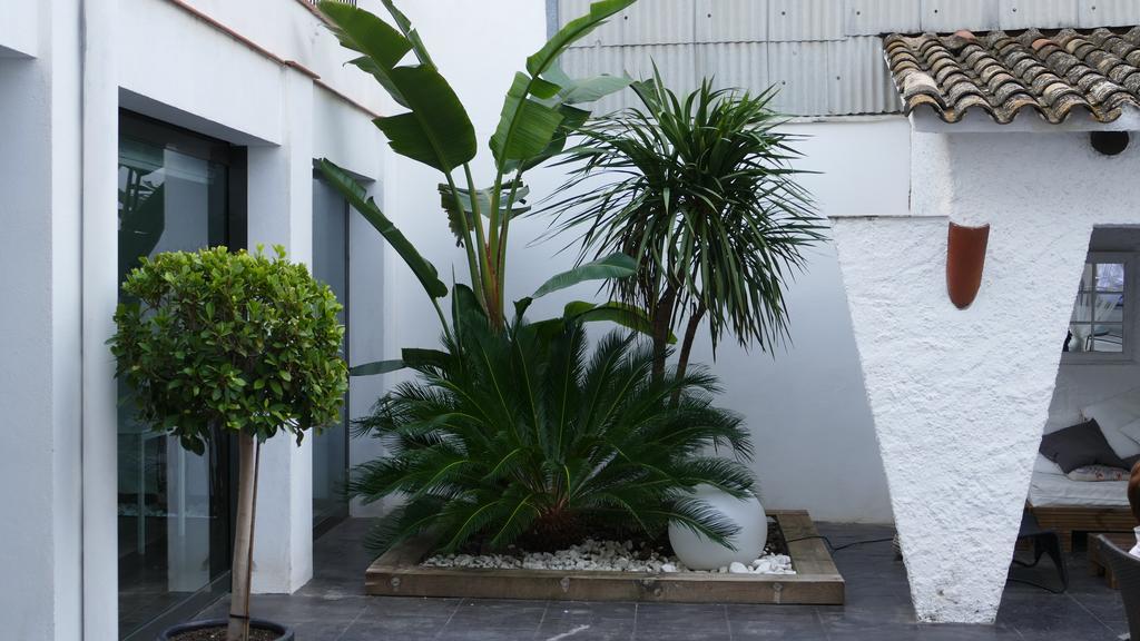 Hotel Salome Calafell Εξωτερικό φωτογραφία